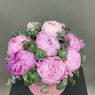 Букет из 9 розовых пионов с эвкалиптом в шляпной коробке