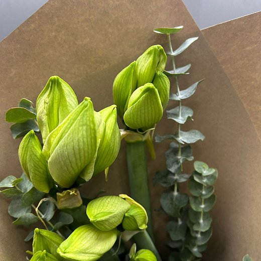 Букет из 5 белых амариллисв с эвкалиптом в крафте  по лучшей цене в Москве Букет из 5 белых амариллисв с эвкалиптом в крафте  с доставкой в Москве