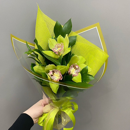 Букет-комплимент  из 3 зеленых орхидей