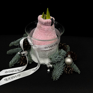 Луковица амариллиса в воске с вазой ( розовый носочек ,большая )