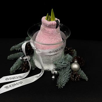 Луковица амариллиса в воске с вазой ( розовый носочек ,большая )