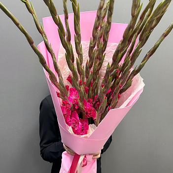 Букет из 15 малиновых гладиолусов Букет из 15 малиновых гладиолусов