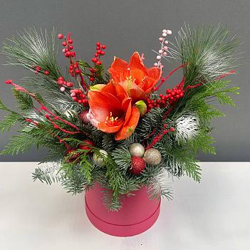 Новогодняя композиция с хвоей, амариллисом и декором