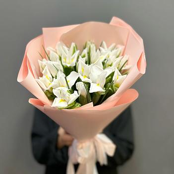 Букет из 25 белых ирисов