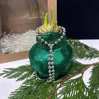 Луковица амариллиса в воске (зеленые блетски)+крафтовый пакет