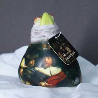 Луковица амариллиса в воске с рисунком + крафтовый пакет