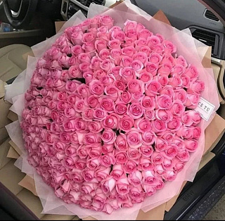 Букет из 301 розовой розы