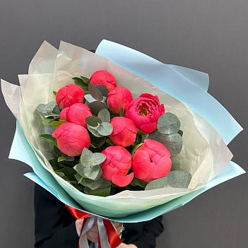 Букет из 9 коралловых пионов и эвкалипта в голубой пленке