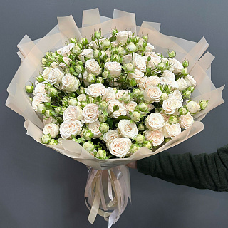 Букет из 19 кремовых пионовидных роз (70 см)