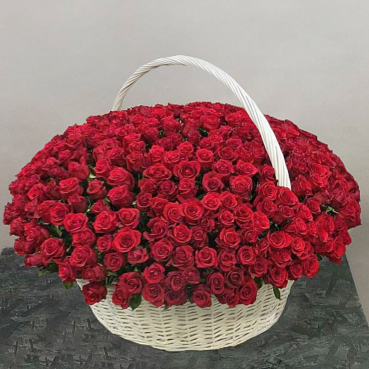 Букет из 501 красной Эквадорской розы в корзине