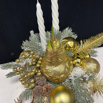 Луковица амариллиса в воске ( золотая, с Новогодним декором и белыми свечами / сруб дерева) 