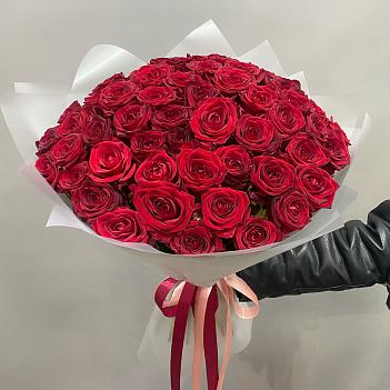 Букет из 51 красной розы в матовой пленке (50 см)