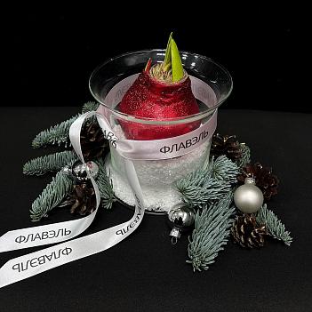 Луковица амариллиса в воске с вазой ( красные блёстки, мини )