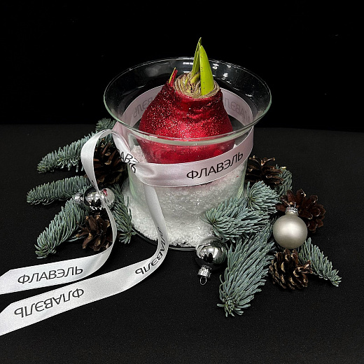 Луковица амариллиса в воске с вазой ( красные блёстки, мини ) по лучшей цене в Москве Луковица амариллиса в воске с вазой ( красные блёстки, мини ) с доставкой в Москве