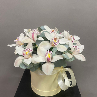 Букет из белых орхидей и эвкалипта в коробке
