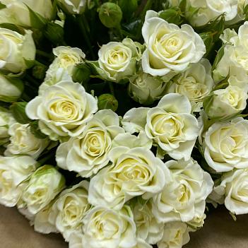 Букет из 19 белых кустовых роз (50 см)