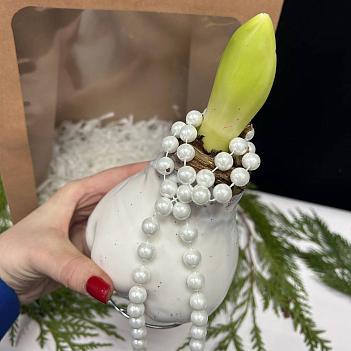 Луковица амариллиса в белом воске +крафтовый пакет