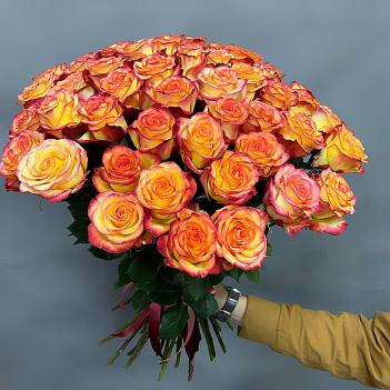 Букет из 49 рыжих Эквадорских роз ( 50 см)