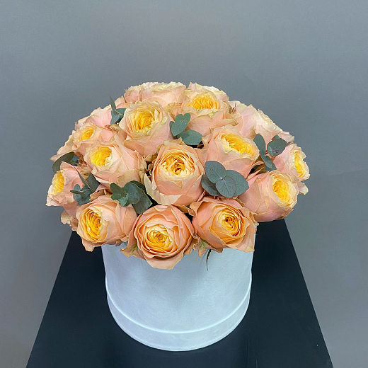 Букет из 25 пионовидных роз Вувузела в белой коробке