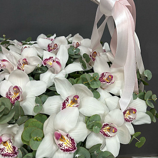 Букет из белых орхидей в корзине ( 25 шт)