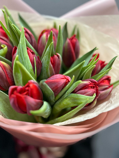 Букет из 15 красных пионовидных тюльпанов