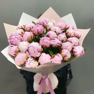 Букет из 29 розовых пионов Сара Бернар