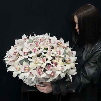 Композиция из 45 белых орхидей в корзине 