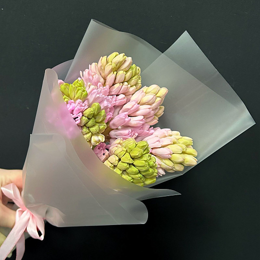 Букет из 5 розовых гиацинтов в матовой пленке с доставкой в Москве