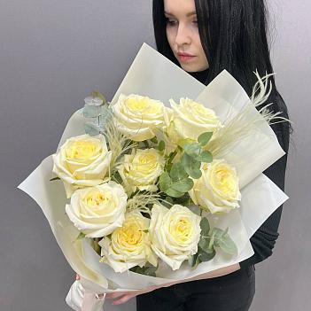 Монобукет из 9 эквадорских белых роз со стифой