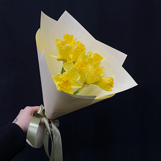 Букет из 9 желтых нарциссов в матовой пленке с лентой