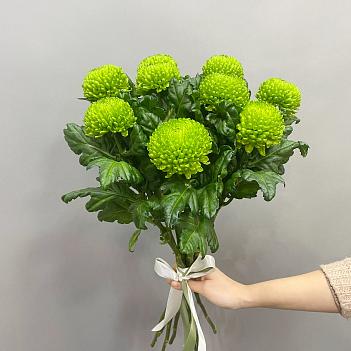 Букет из зеленых, одноголовых хризантем ( 9 шт)