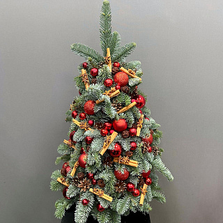 Елка из нобилиса с корицей и красным декором