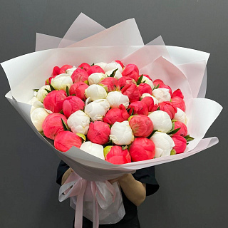 Микс из 51 белого и кораллового пиона