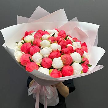 Микс из 51 белого и кораллового пиона