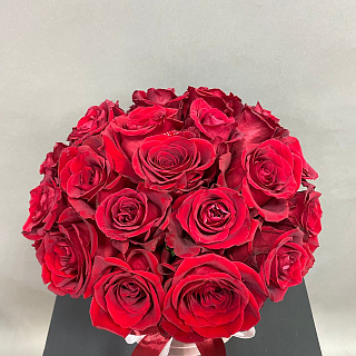 Букет из  красных Эквадорских роз  в розовой коробке  ( 25 шт)