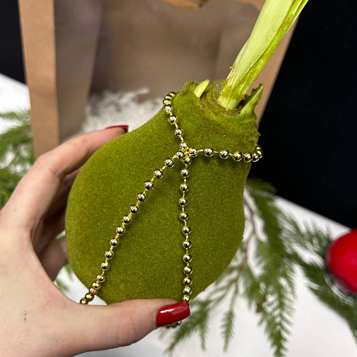 Луковица амариллиса в воске ( зеленый бархат)+крафтовый пакет с доставкой в Москве