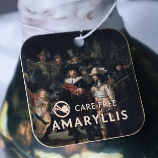 Луковица амариллиса в воске с рисунком + крафтовый пакет