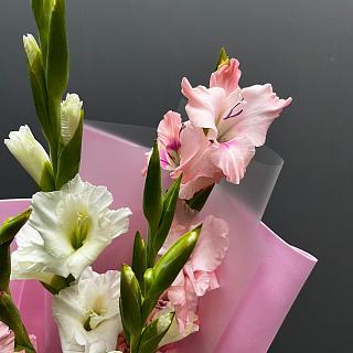 Микс из 5 гладиолусов в розовом фоамиране
