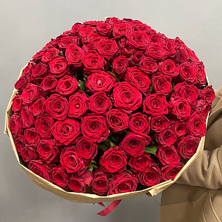 Букет из 101 красной розы (50 см)