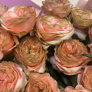 Букет из 15 пионовидных роз Леди Априкот
