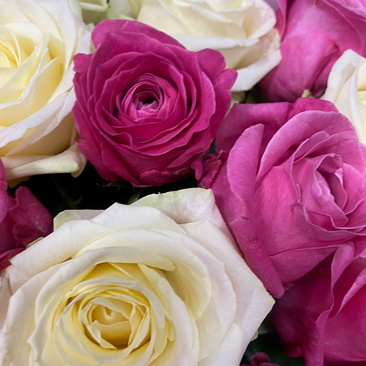 Микс из 25 бело-розовых роз