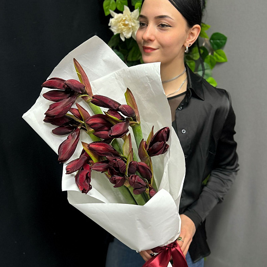 Монобукет из 9 бордовых амариллисов в белом крафте  с доставкой в Москве