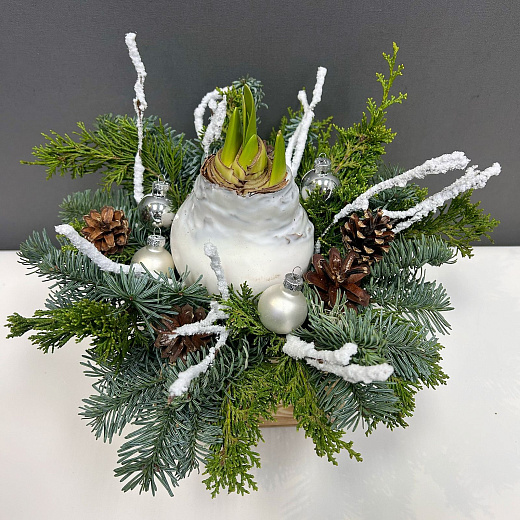 Луковица амариллиса в воске ( белая, Новогодний декор / хвоя)  с доставкой в Москве