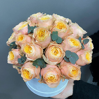 Букет из 25 пионовидных роз Вувузела в белой коробке